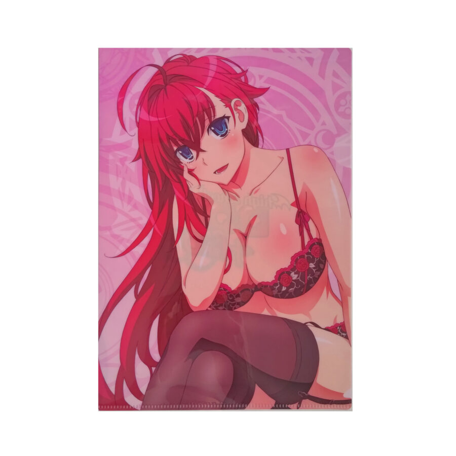 High School DxD A4-sized folder - Image 3