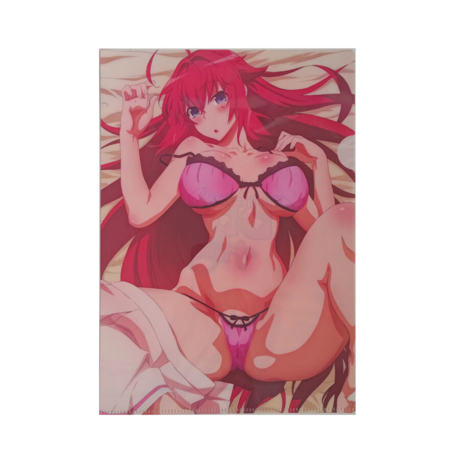 High School DxD A4-sized folder - Image 4