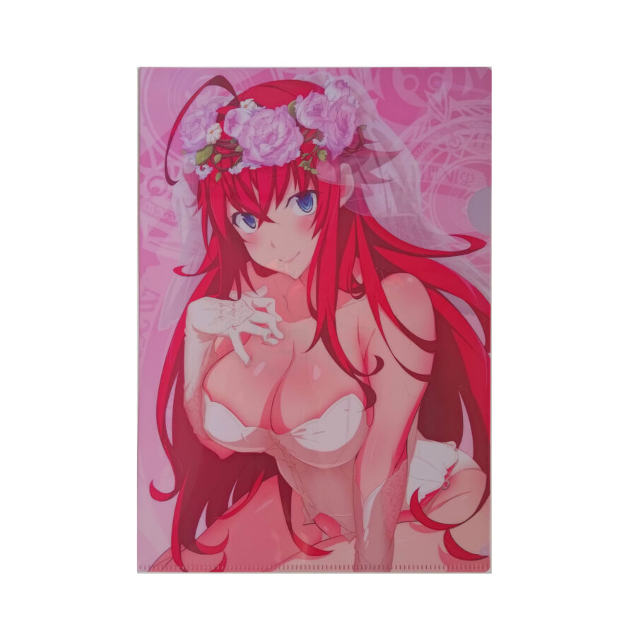 High School DxD A4-sized folder - Image 2