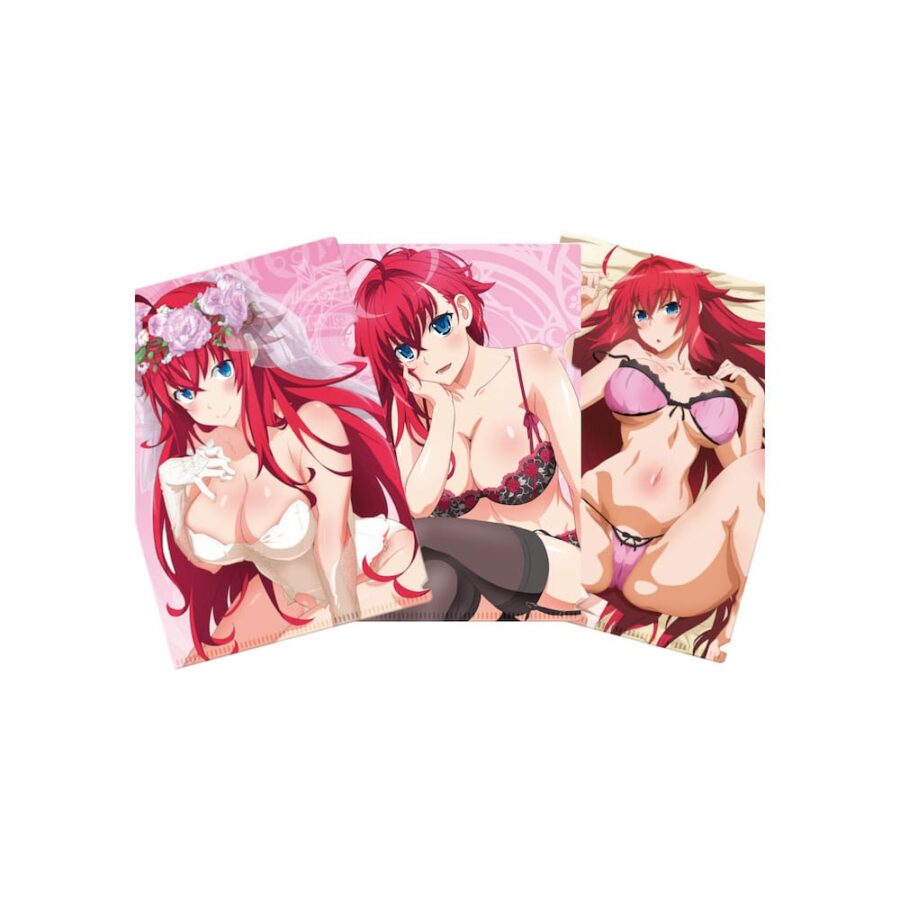 High School DxD A4-sized folder