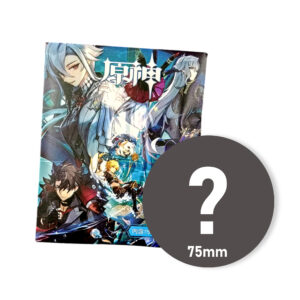 Genshin Impact Mystery Anime Pin 75mm