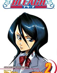 Bleach Vol. 2 manga